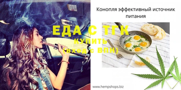 индика Семёнов