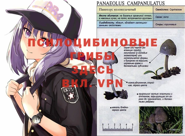 кокаин Семилуки