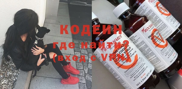 индика Семёнов