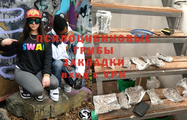 мдпв Дегтярск