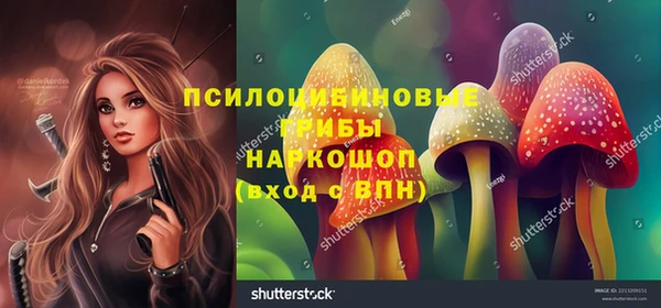 apvp Дедовск