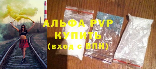 индика Семёнов