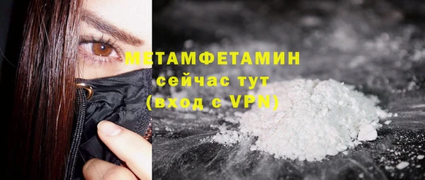 индика Семёнов
